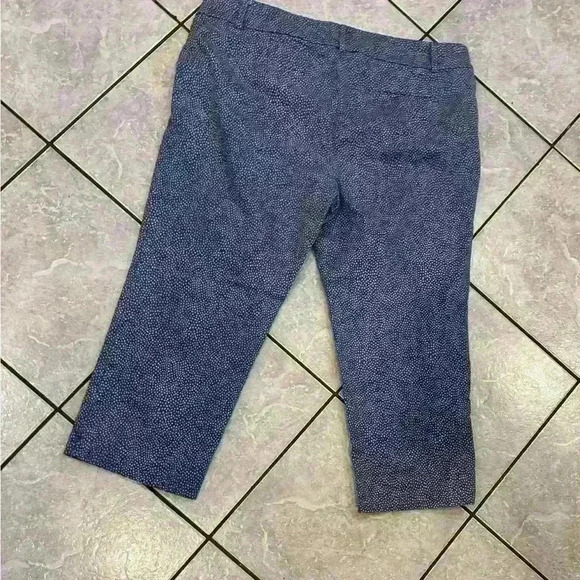 Loft Outlet Original Crop Pant Size 14 - Picture 2 of 6